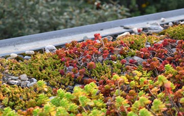 the cost of Brattle green roof installation