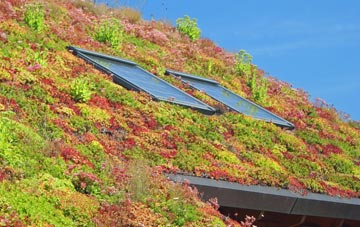 Brattle living roof systems