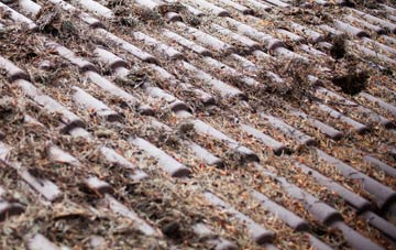 Brattle roof cleaning companies